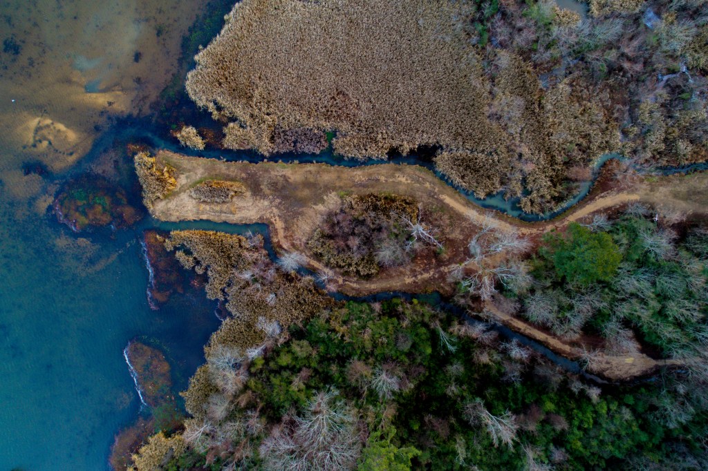 Estuary
